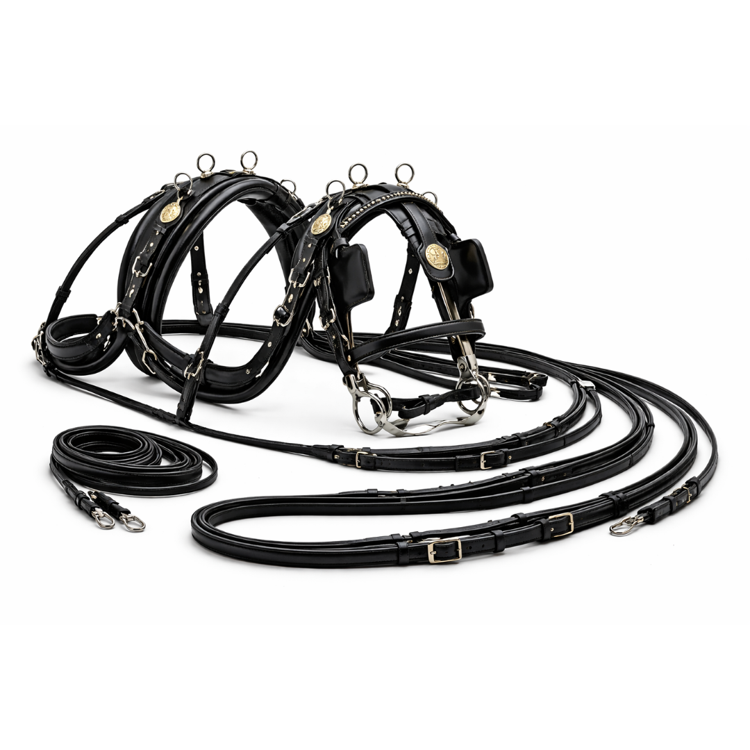 Driving Harness (Single / Pair)
