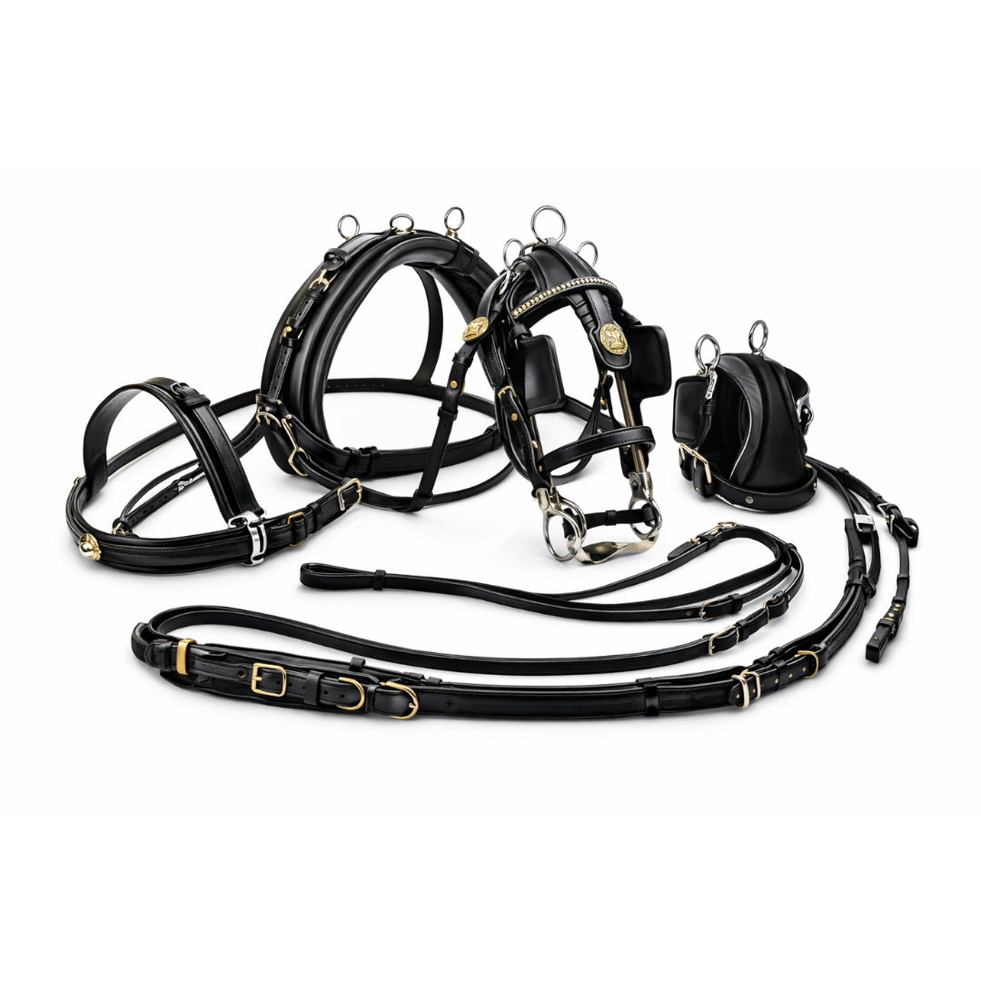 Horse Harness Set