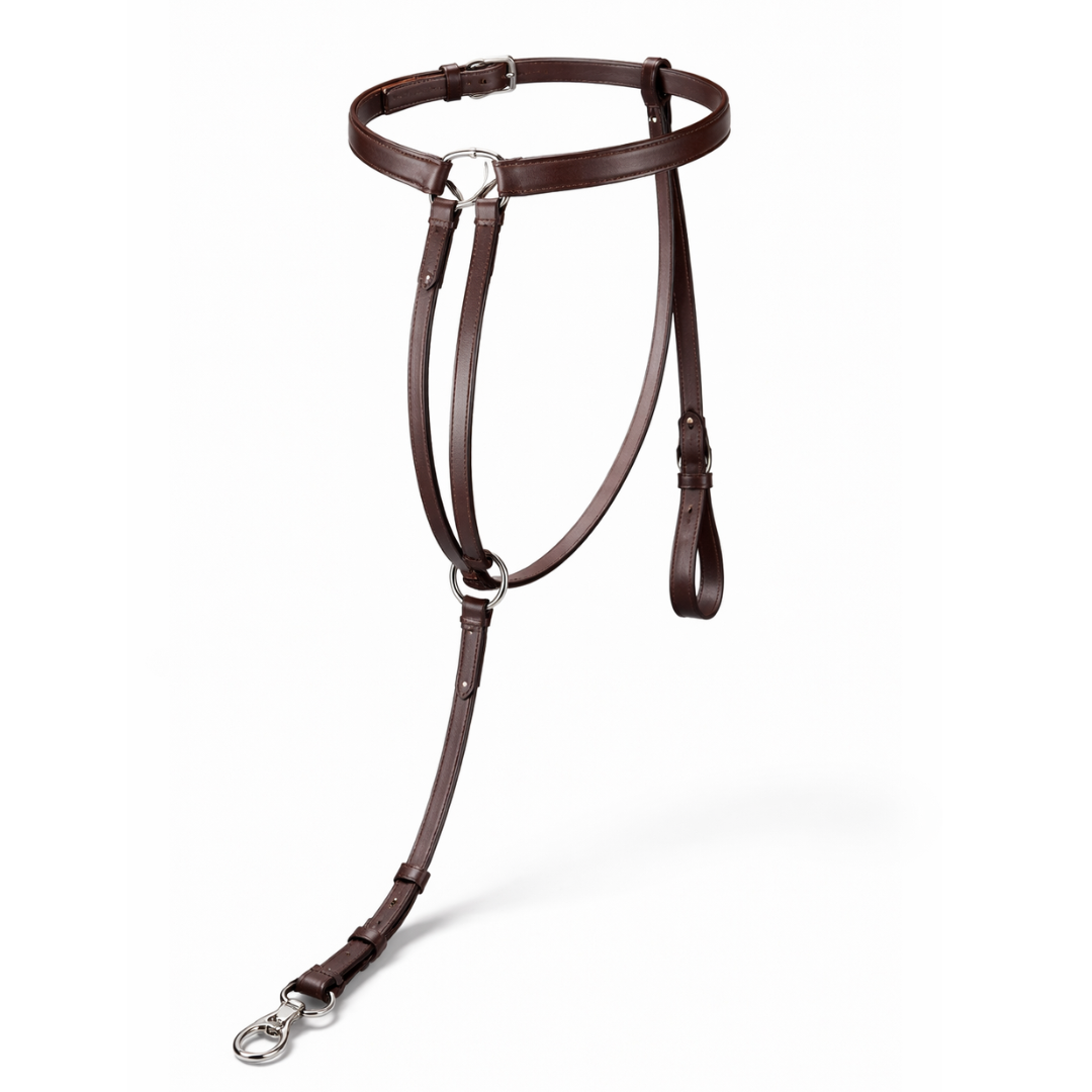 Standing Martingale