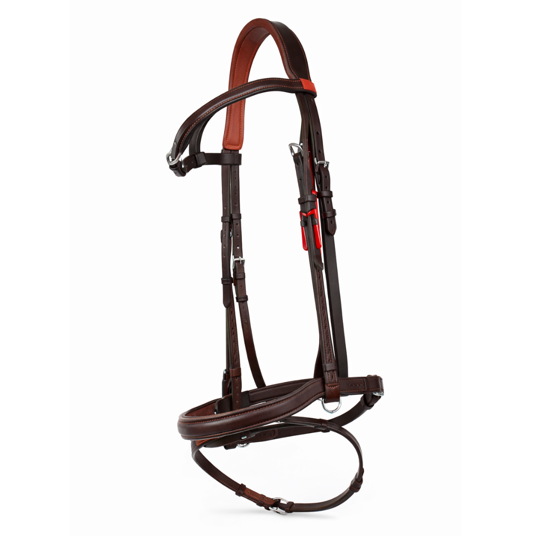 English Bridle
