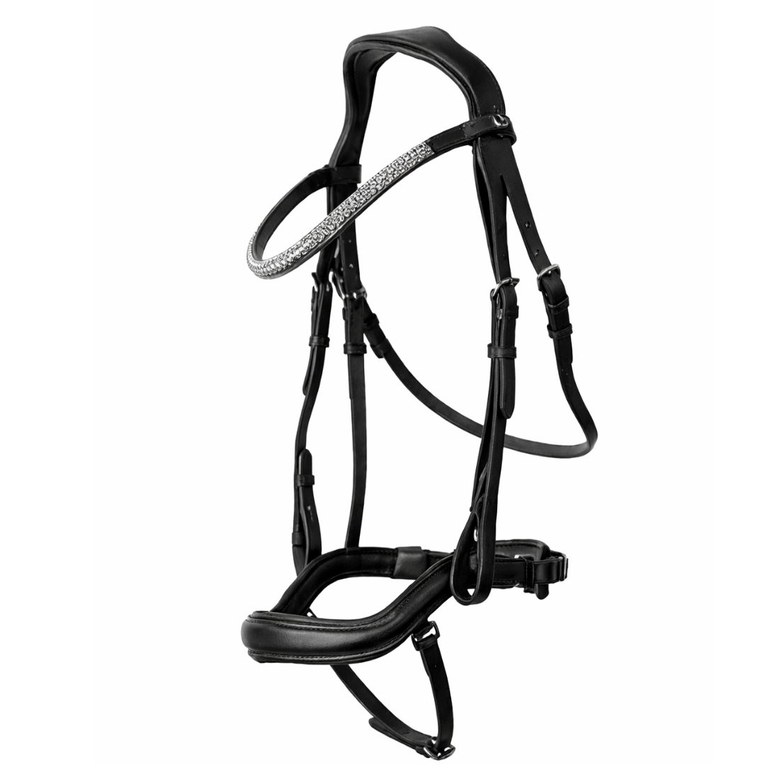 Dressage Bridle