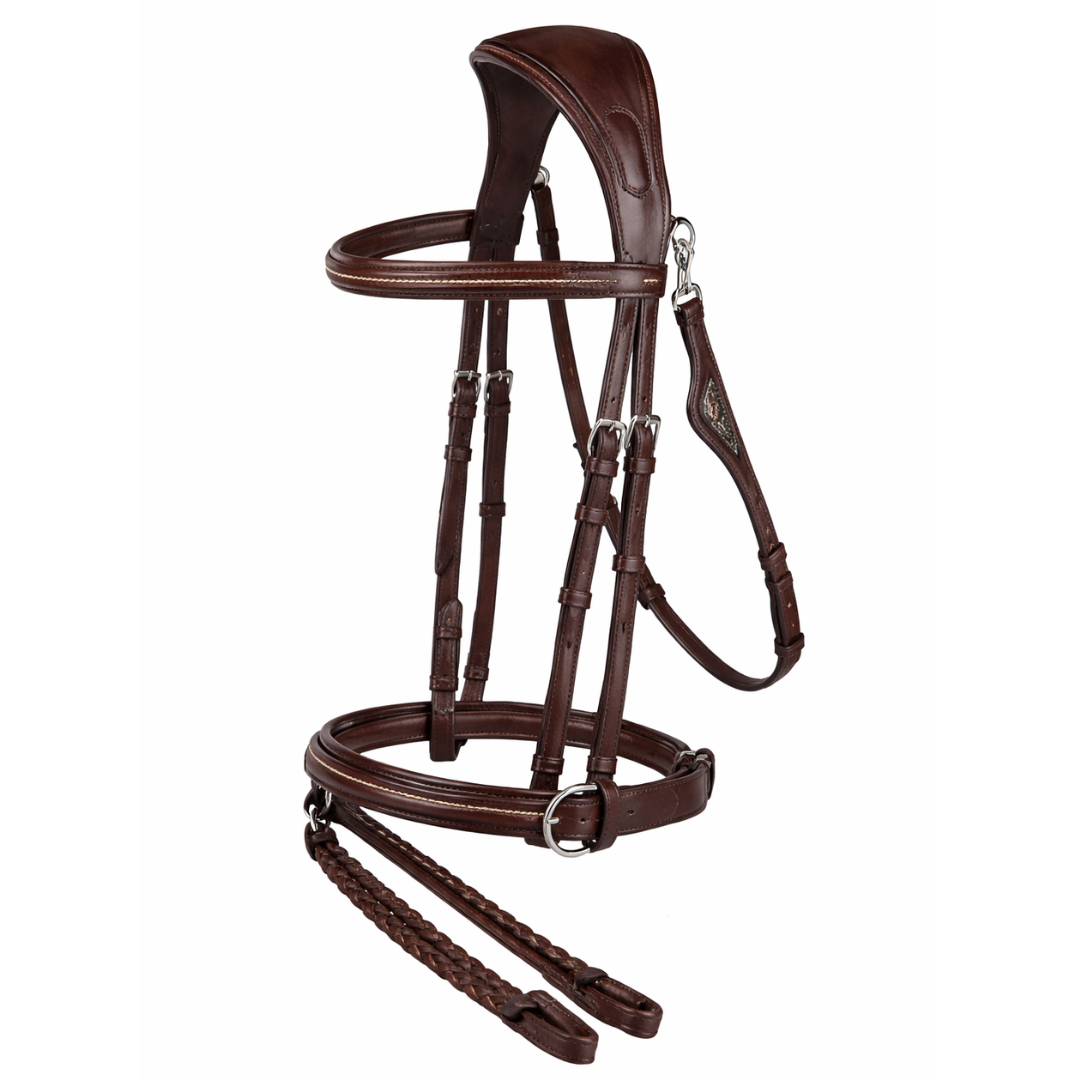 Jumping Bridle