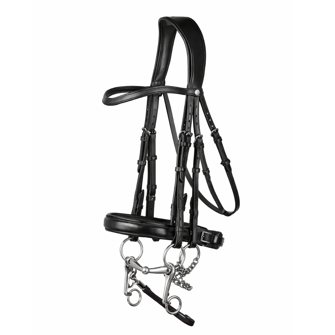 Double Bridle