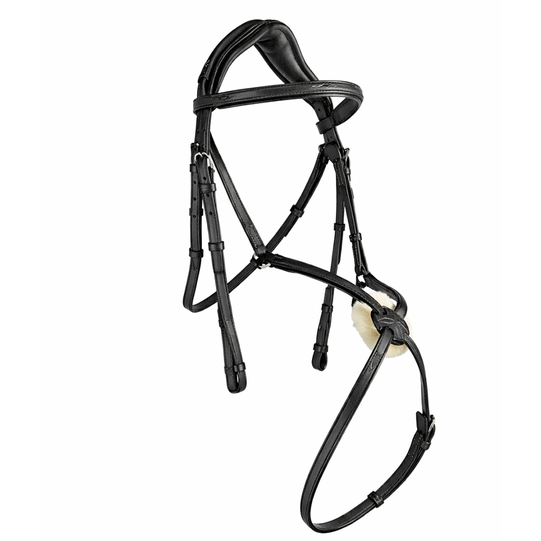 Figure 8 Bridle