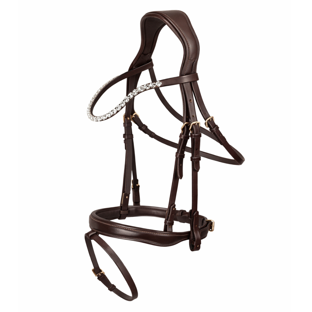 Anatomical Bridle