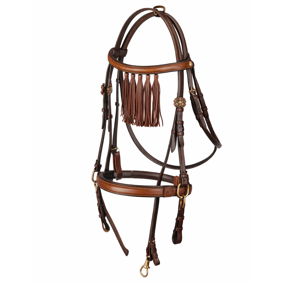 Spanish Bridle