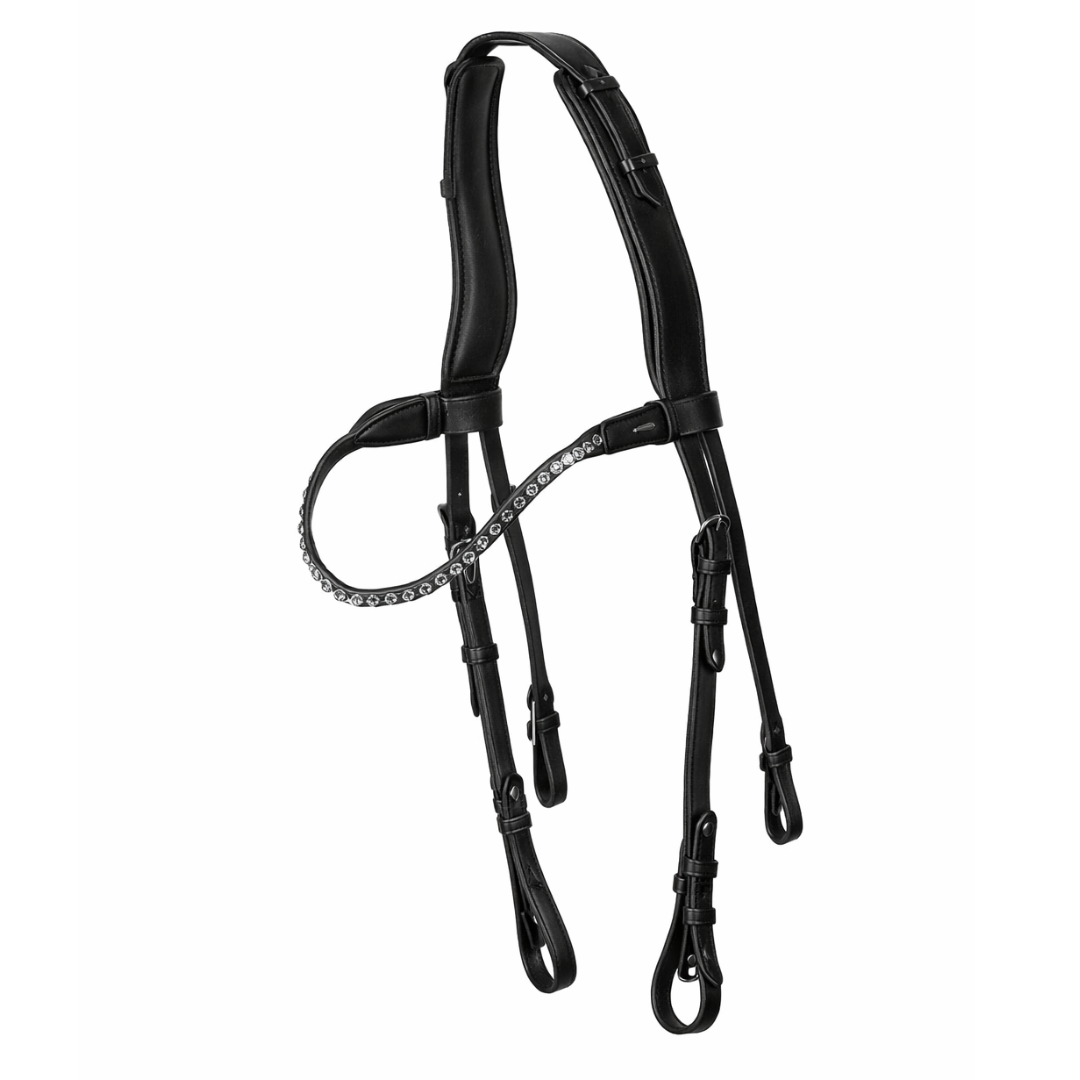 Icelandic Bridle