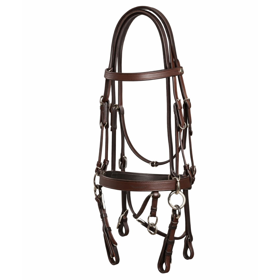Polo Bridle