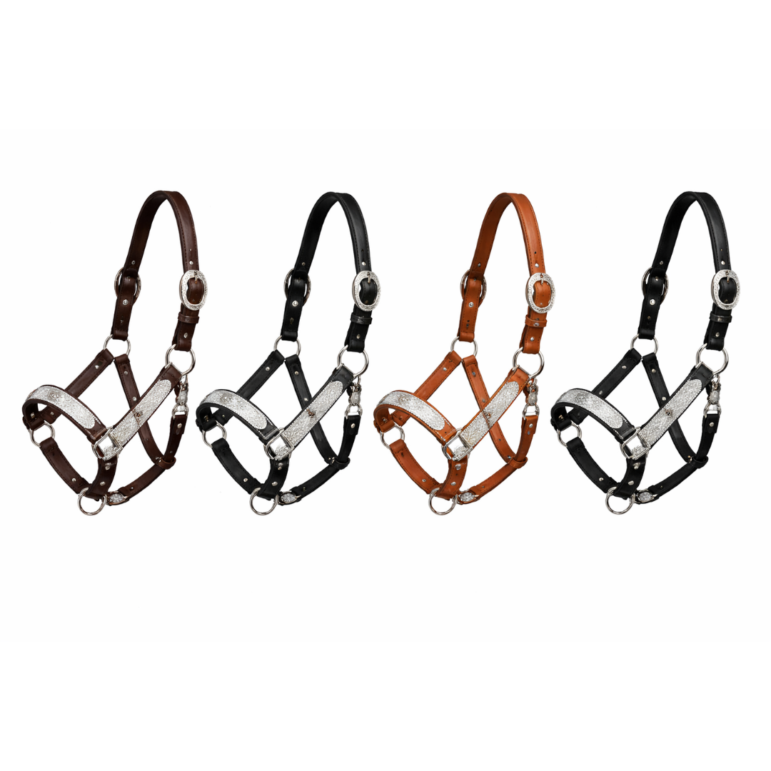 Show Halter