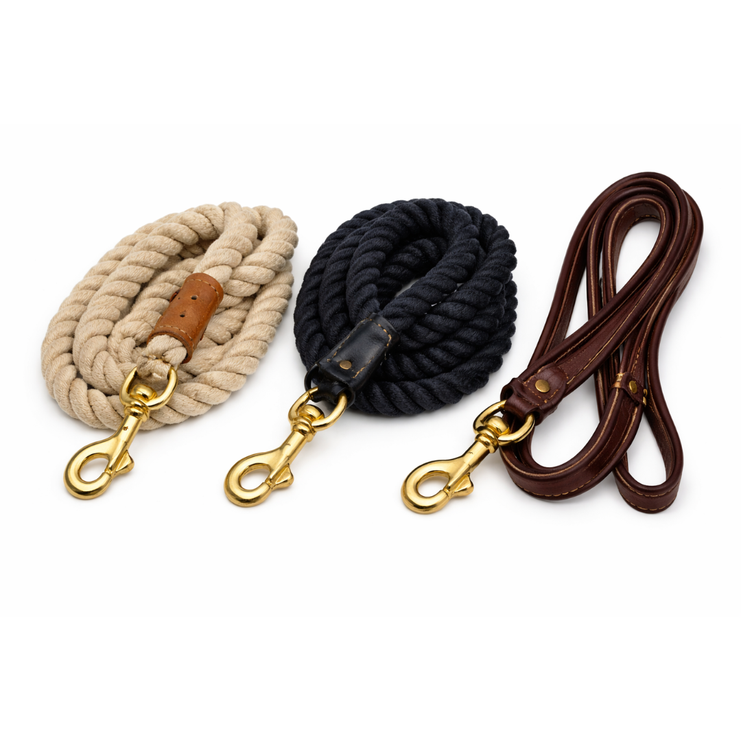Lead Rope (Cotton / Nylon / Leather)